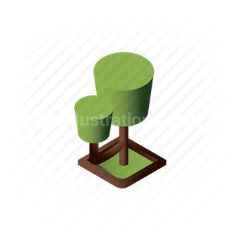 park tree, tree, park, ecology, plant